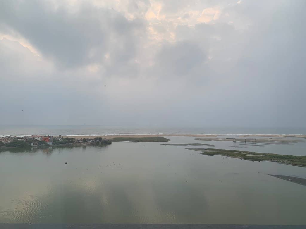 Adyar Estuary Mangrove Belt