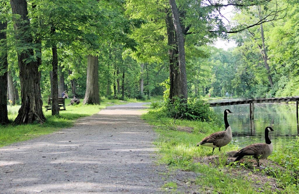Playground Garden