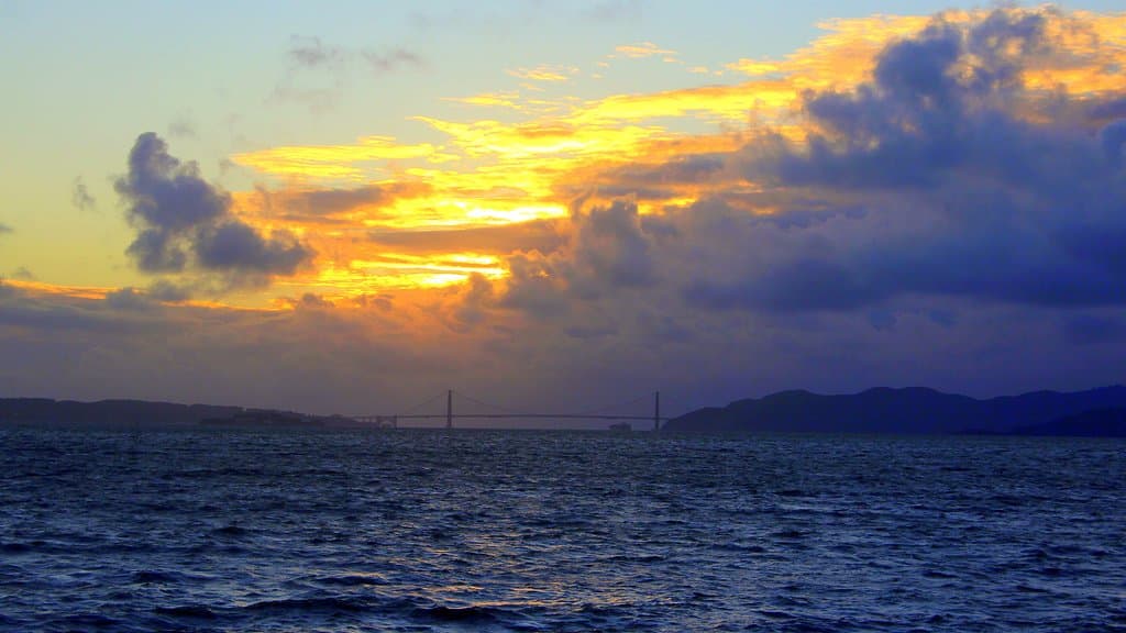 The view from McLaughlin Eastshore State Seashore