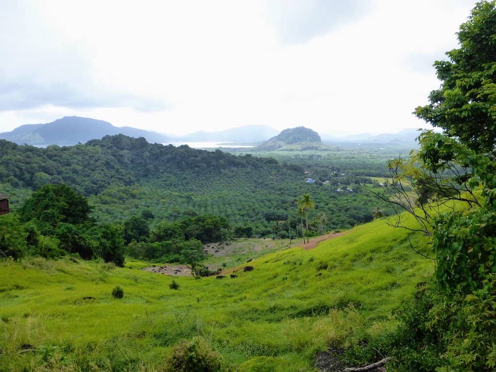 Ancient Archaeological Museum