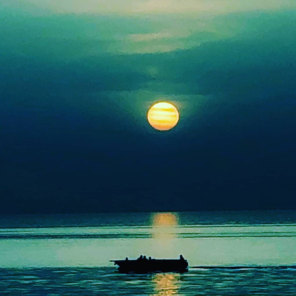 Variety of Dining Options