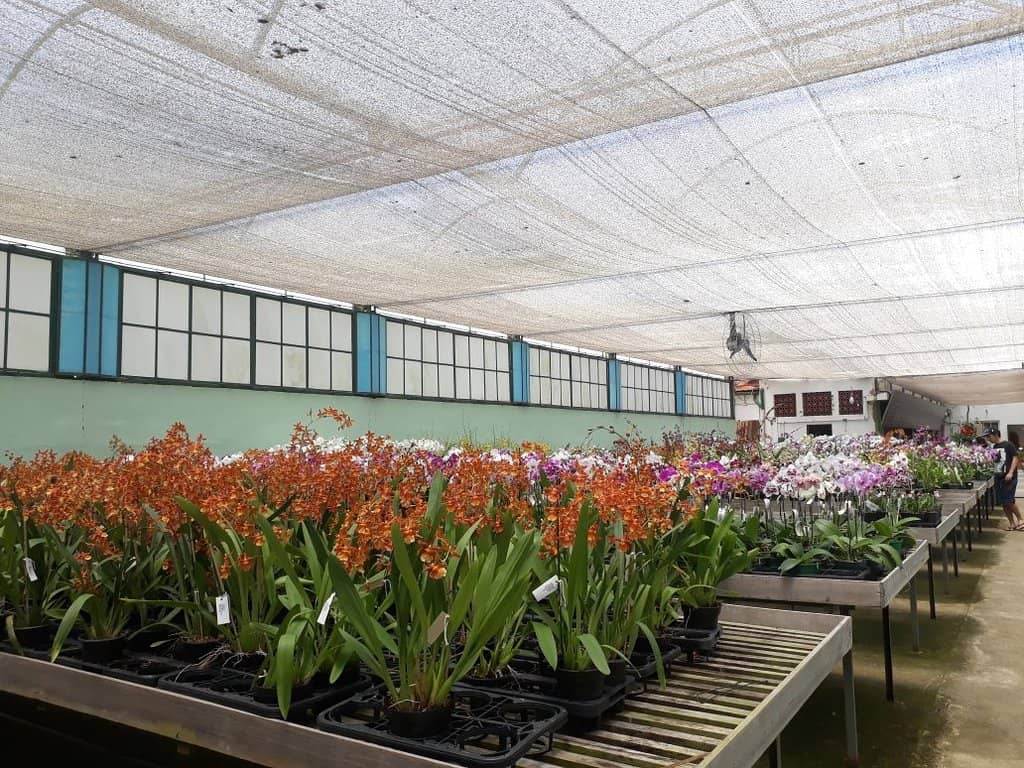 Serene Lakeside Ambiance