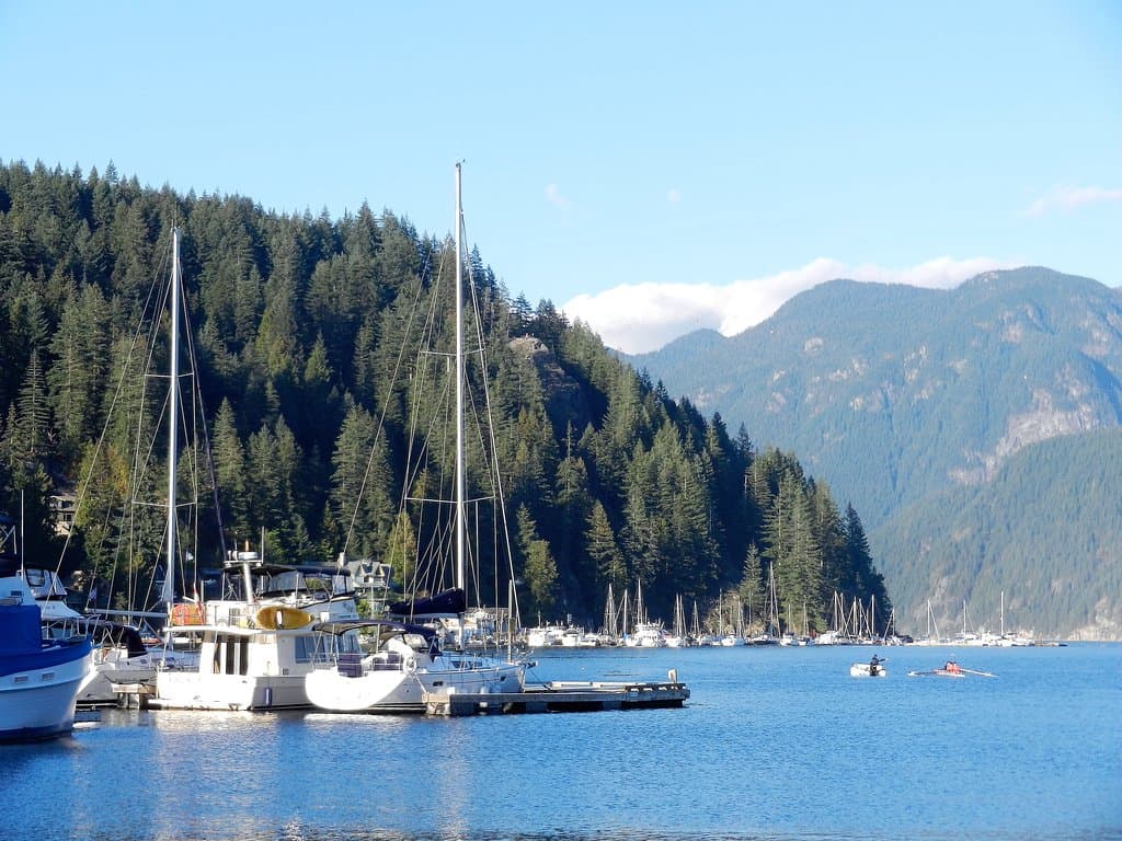 Marina with several sailboats