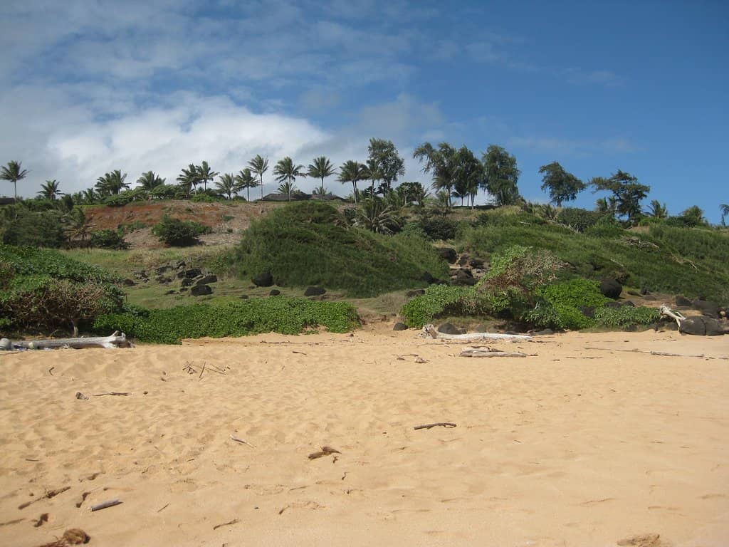 Vibrant Coral Reefs