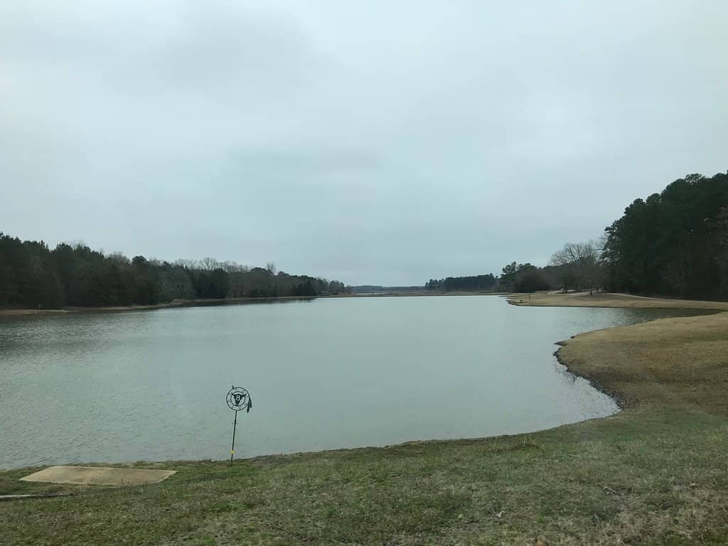 Campsite with Lake View