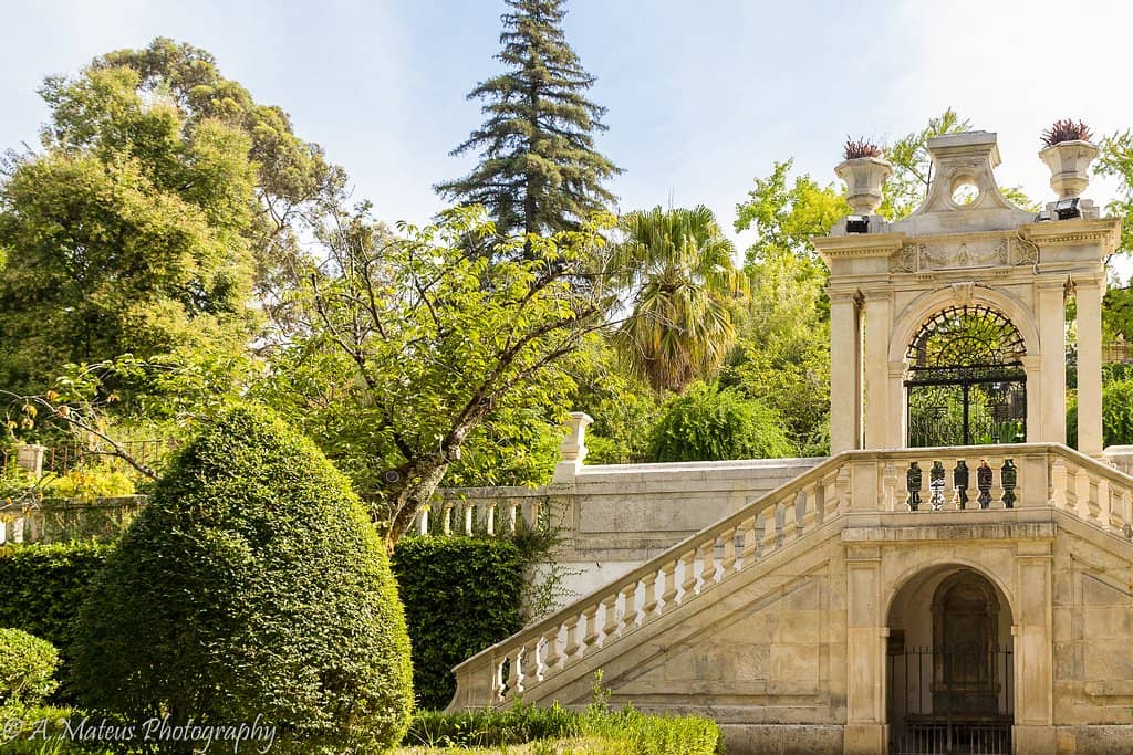 Royal Palace (Paço das Escolas)