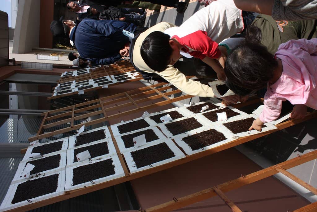 Interactive Nori Making