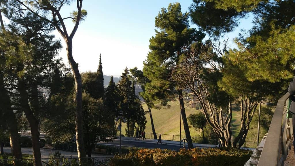 Orto sul Colle dell'Infinito