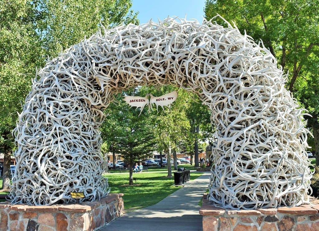 Antler Arch