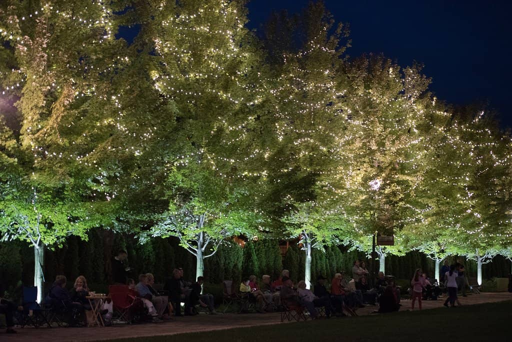 Free Museum & Galleries