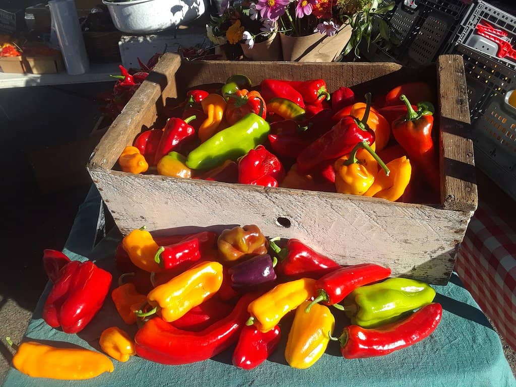 Farm-Fresh Produce