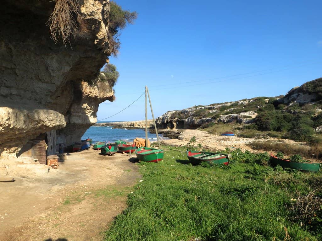 Cliff Jumping Opportunities