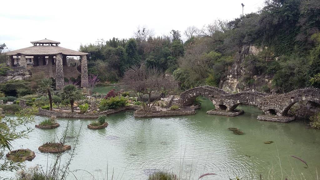 Koi Pond Serenity