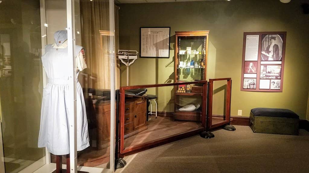 Fossils and Artifacts