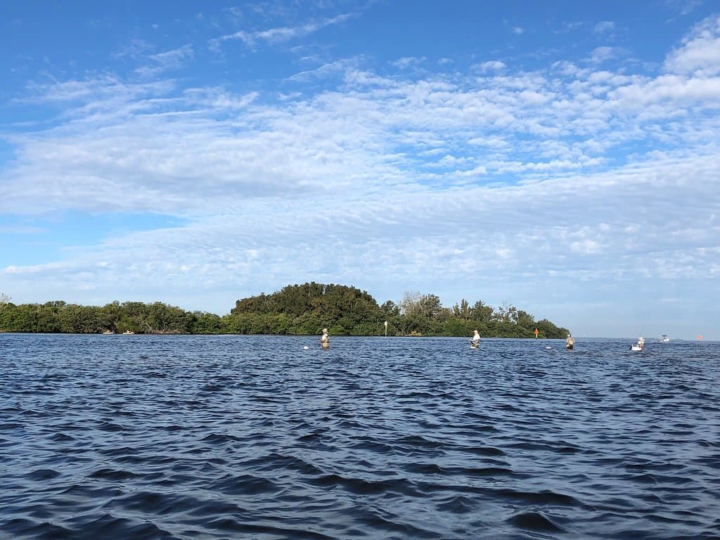Anclote River Waterfront