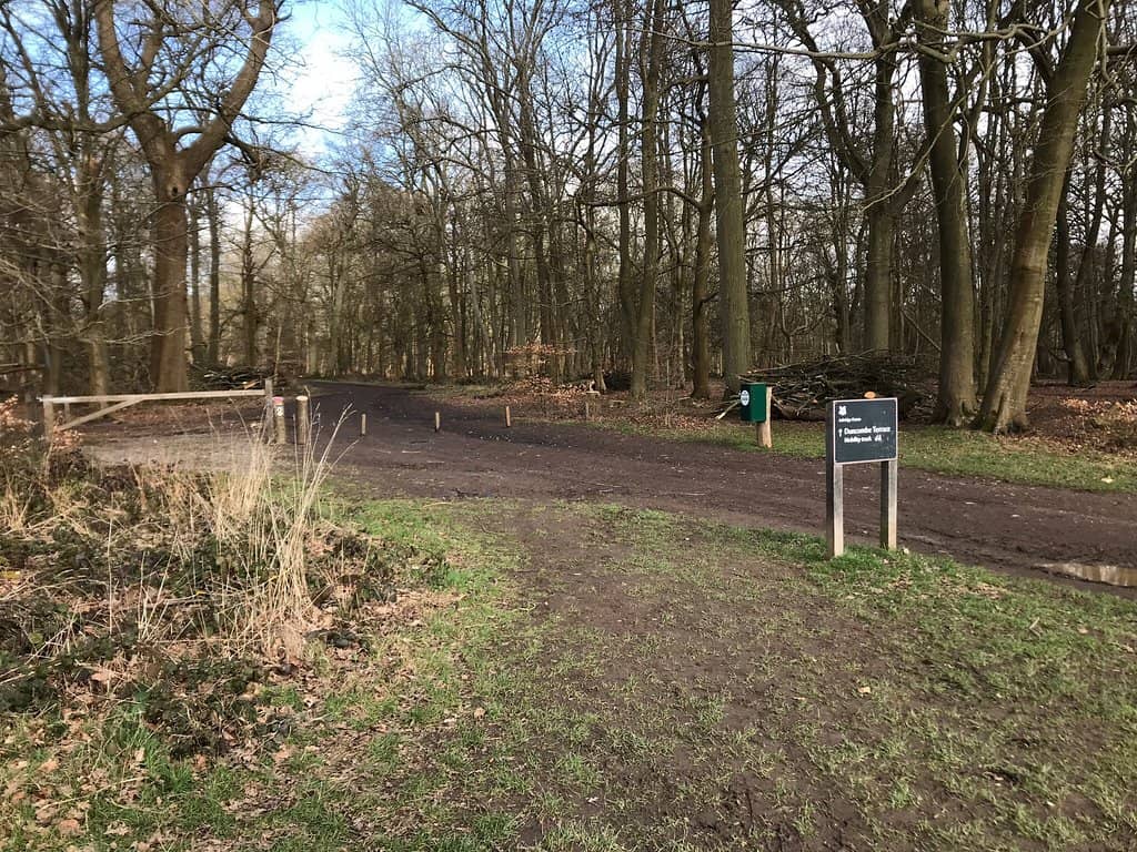 Woodland Walks