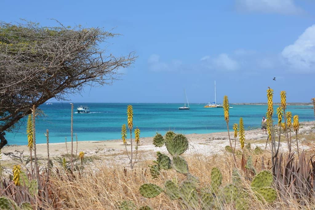 Crystal Clear Waters