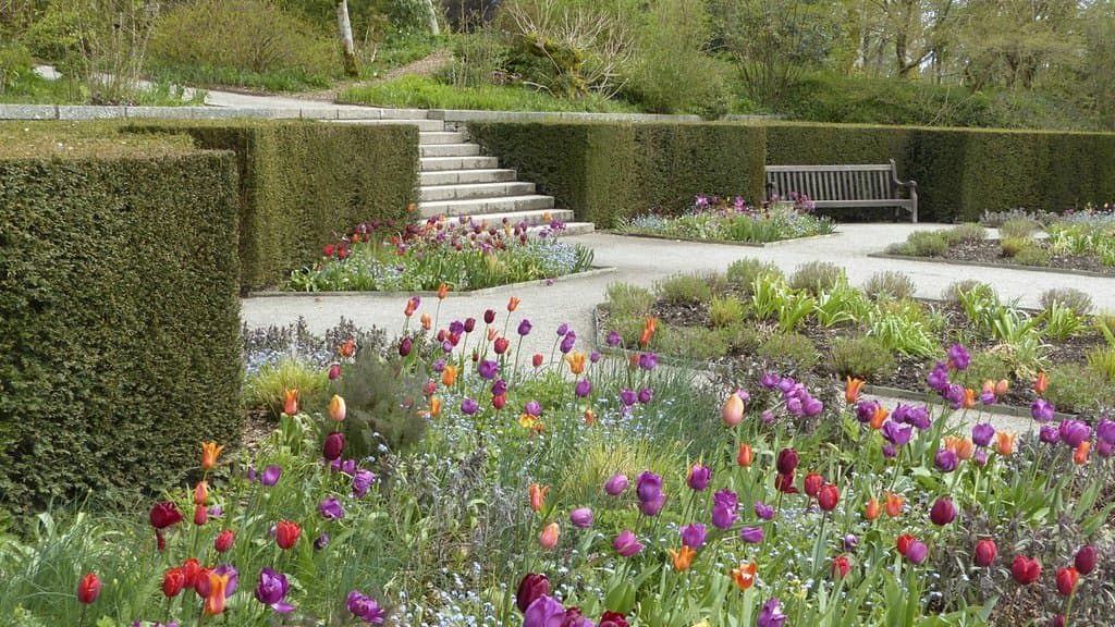The garden at Castle Drogo during spring.