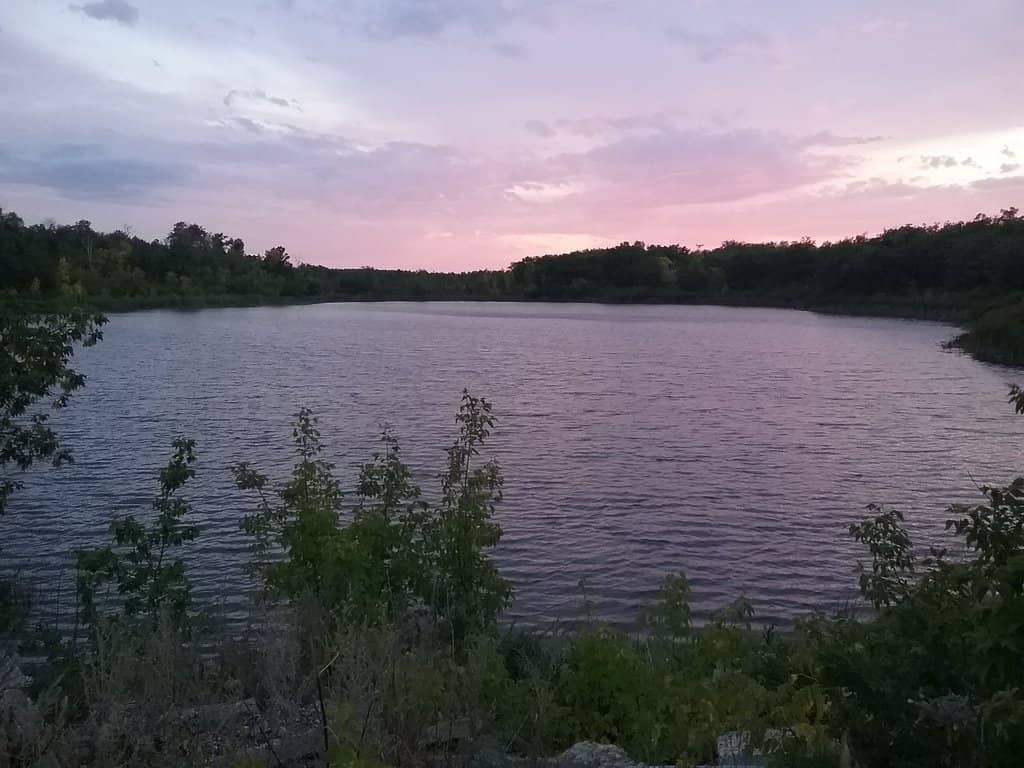 Sheffield Town Hall Backdrop