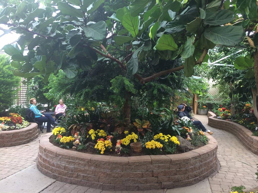 Tropical Plant Collection