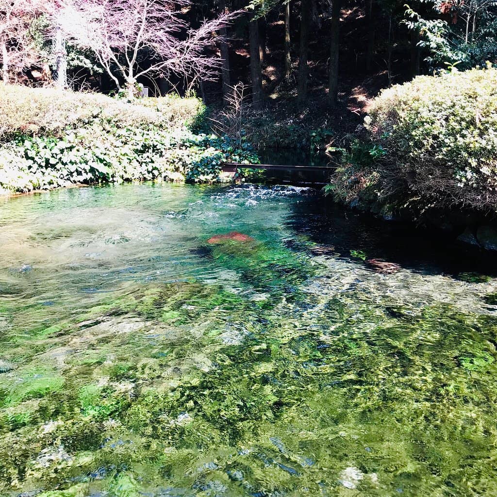 Tranquil Shrine Visit