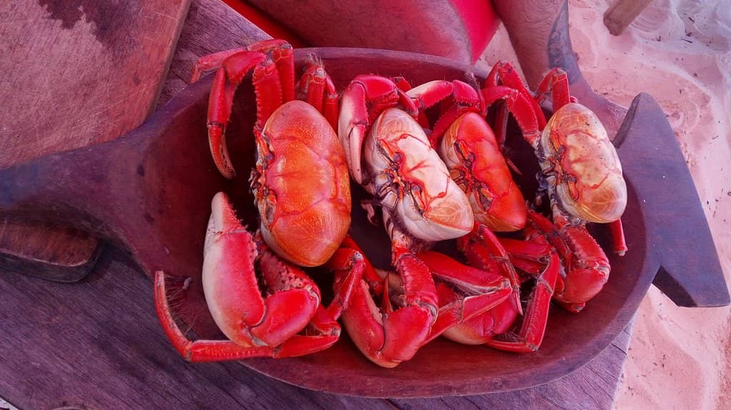 Coral Reefs of Itacolomis