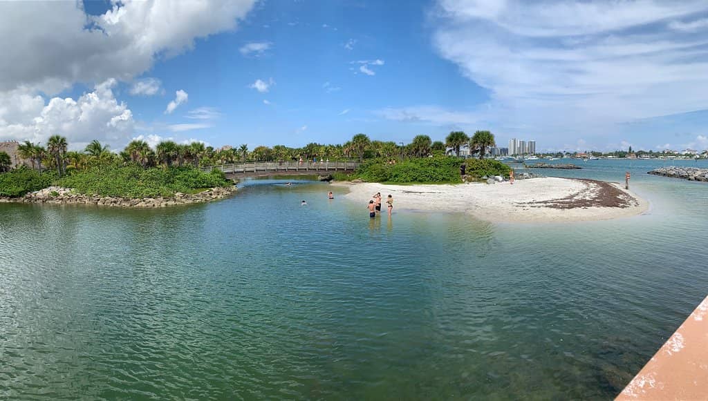 Manatee Sightings