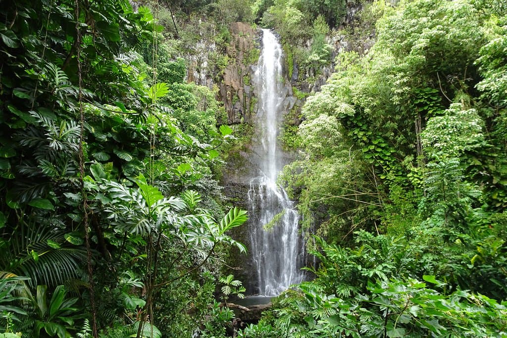 Wailua Falls, from the Highway
