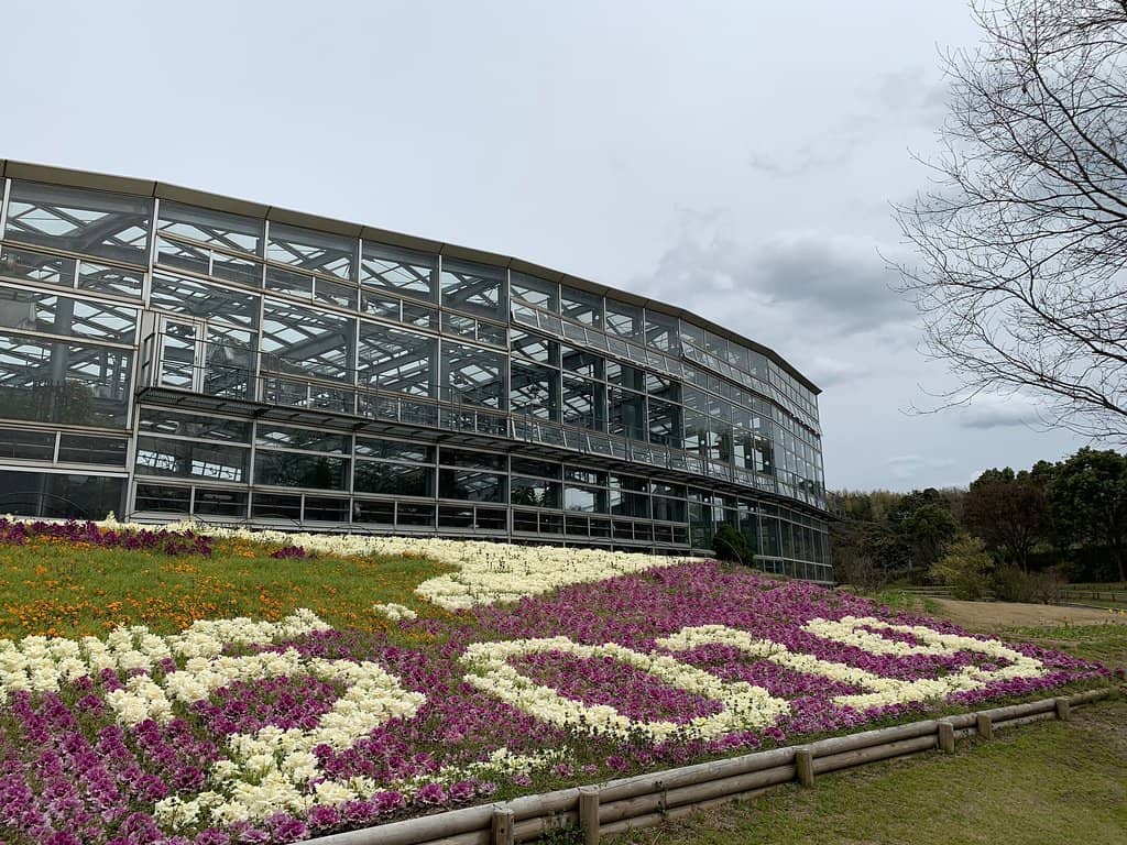 Vibrant Flower Fields