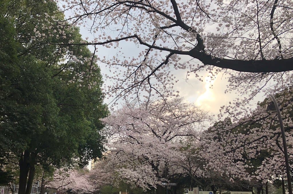 Komazawa Olympic Park Tokyo