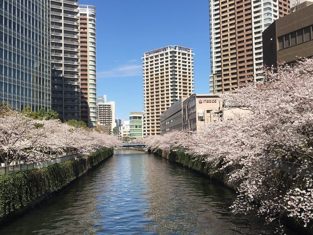 Meguro River Tokyo