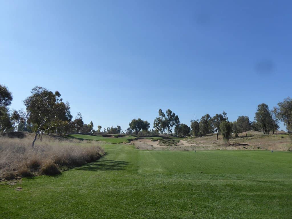 Immaculate Course Conditions