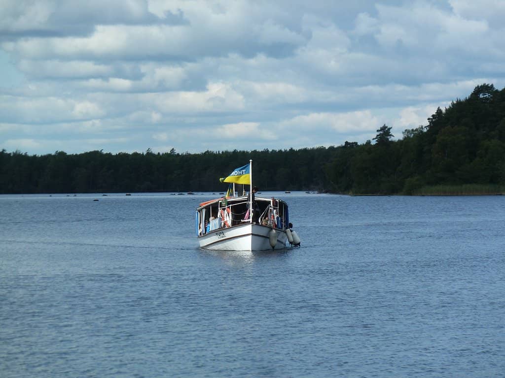 Authentic Deck Experience