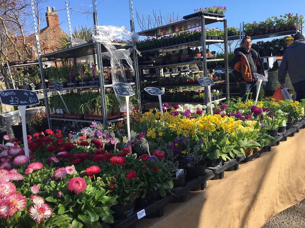 Diverse Market Stalls