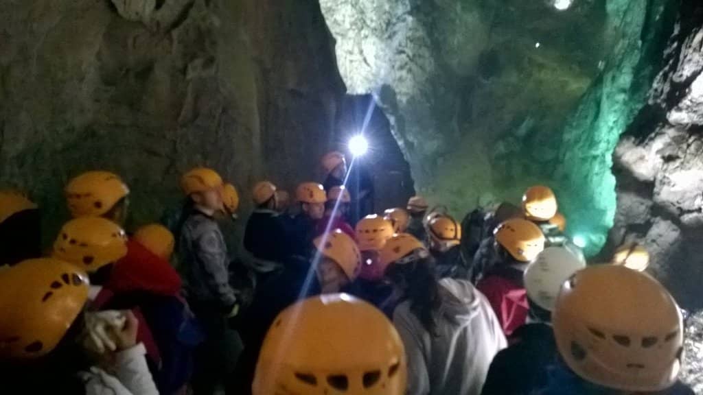 Foresta 'Madre dei Faggi'