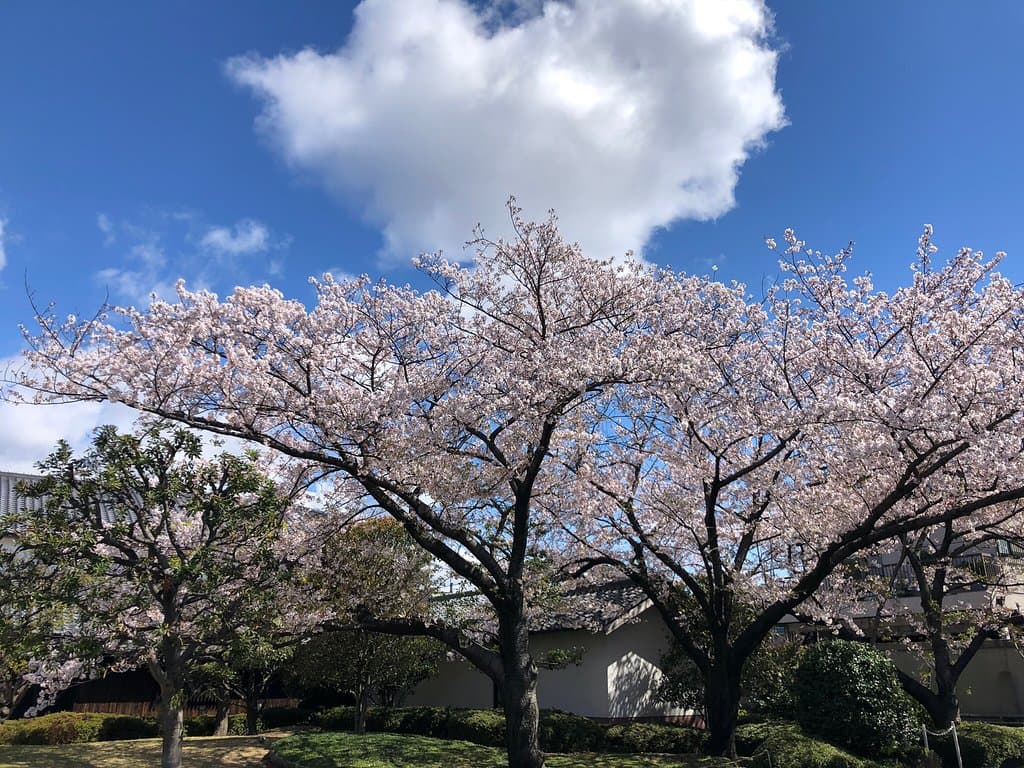 Hakutsuru Sake Brewery Museum Kobe