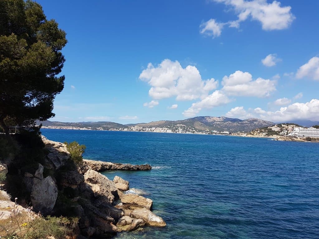 Calo d'en Pellicer