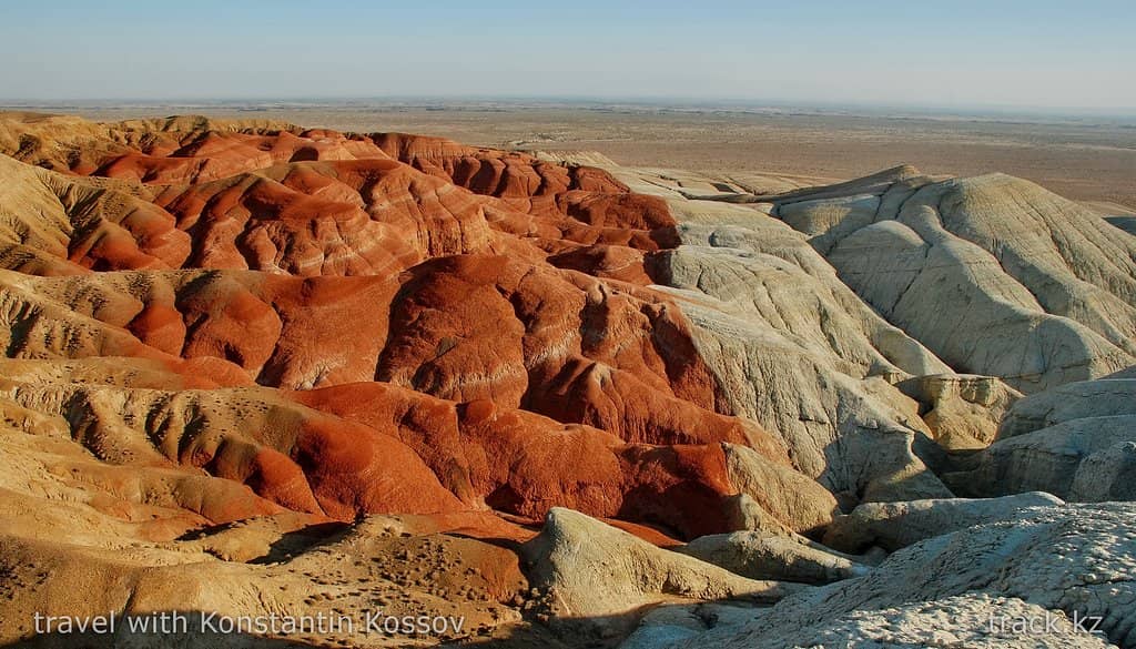 700-Year-Old Willow Tree