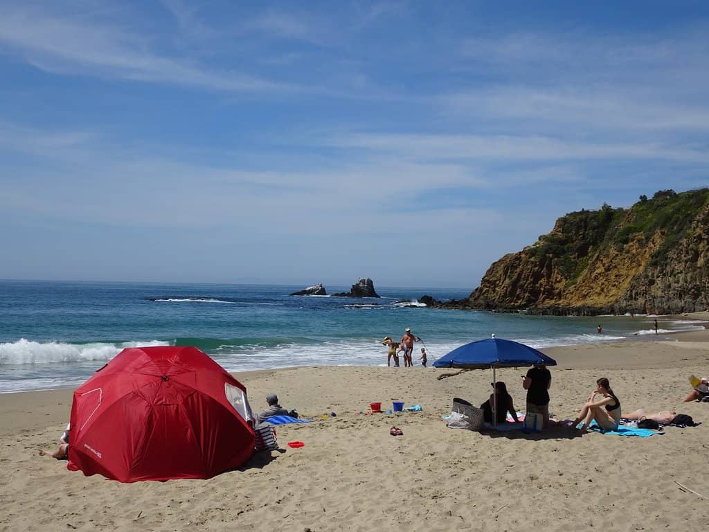 Seal Rock Sanctuary
