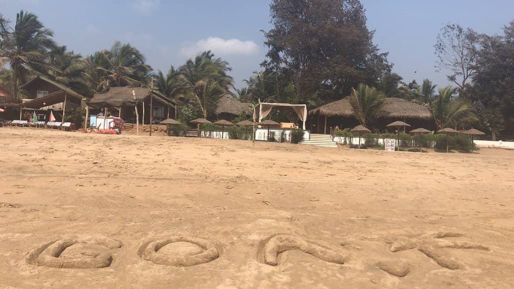 Monsoon's Lush Embrace