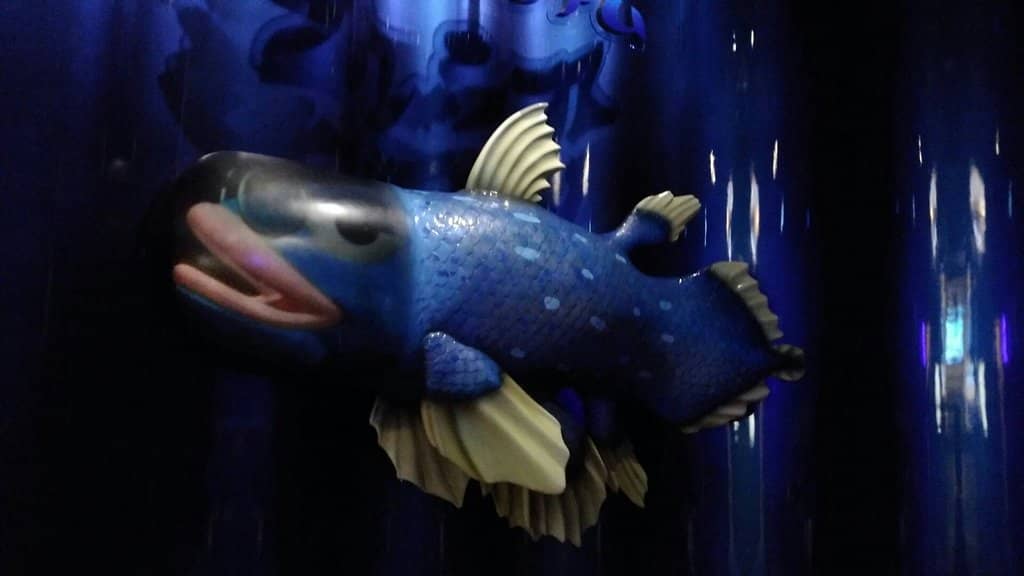 The Elusive Coelacanth