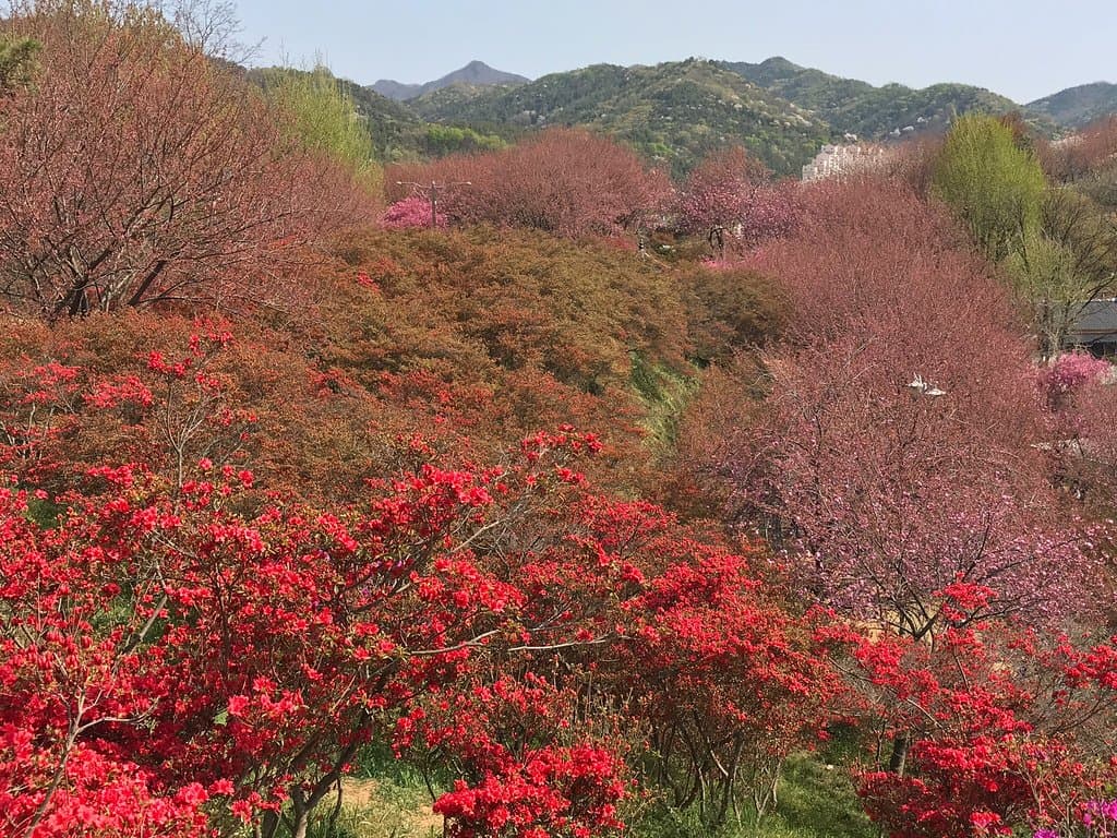 Wansan Park Jeonju