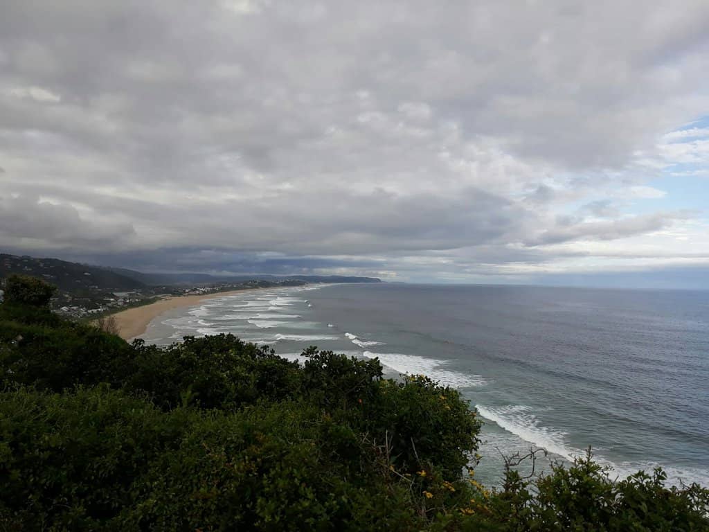 Half Collared Kingfisher Trail