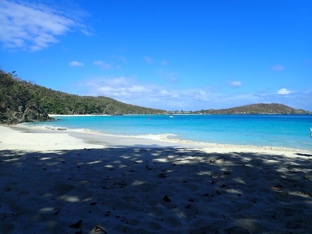 GIBNEY LOOKIG OVER AT HAWKSNEST