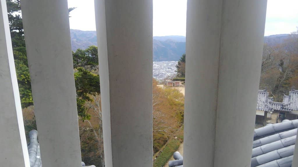 Vertical photo