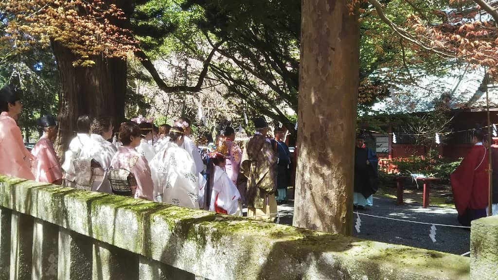 Shrine Cat Encounters