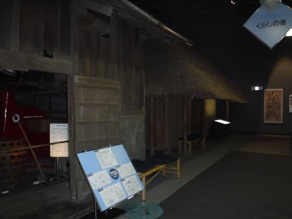 Nature & Science Displays