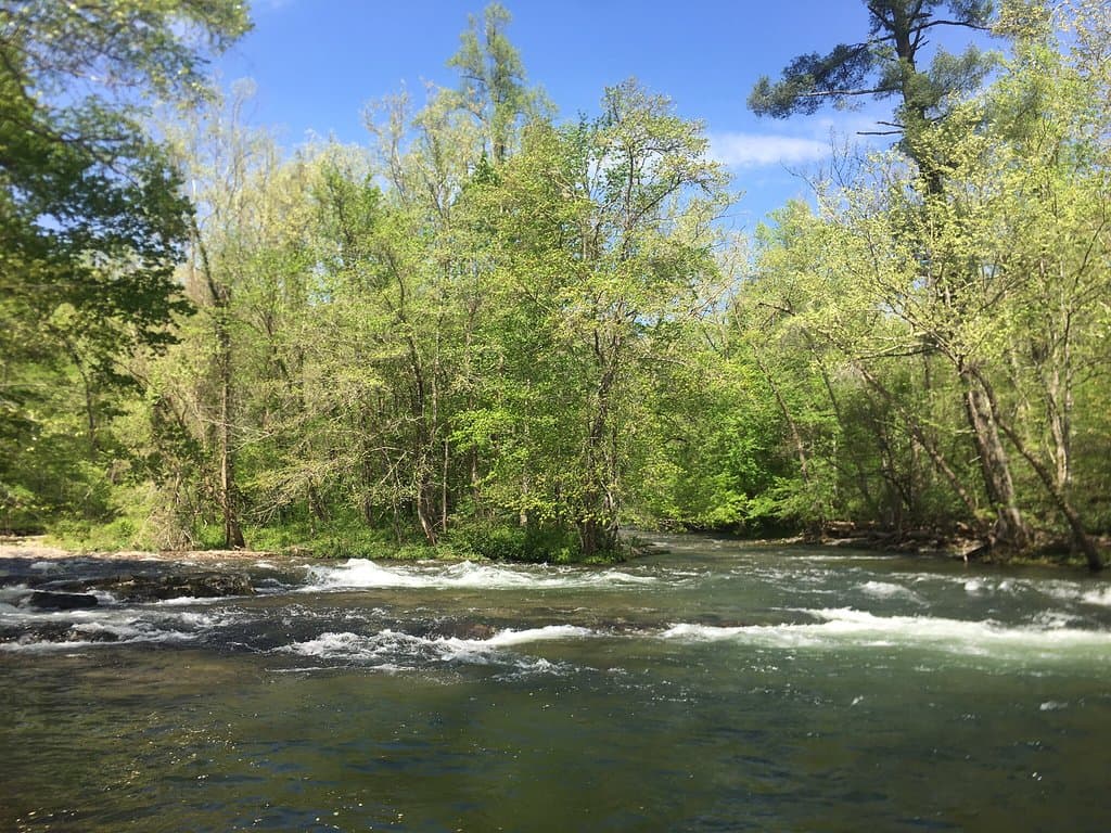 A Trail For Any Skill Level