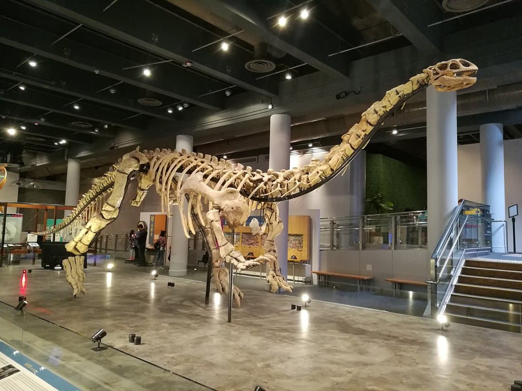 Музей совсем детский. Лет до 10, наверное будет интересно.