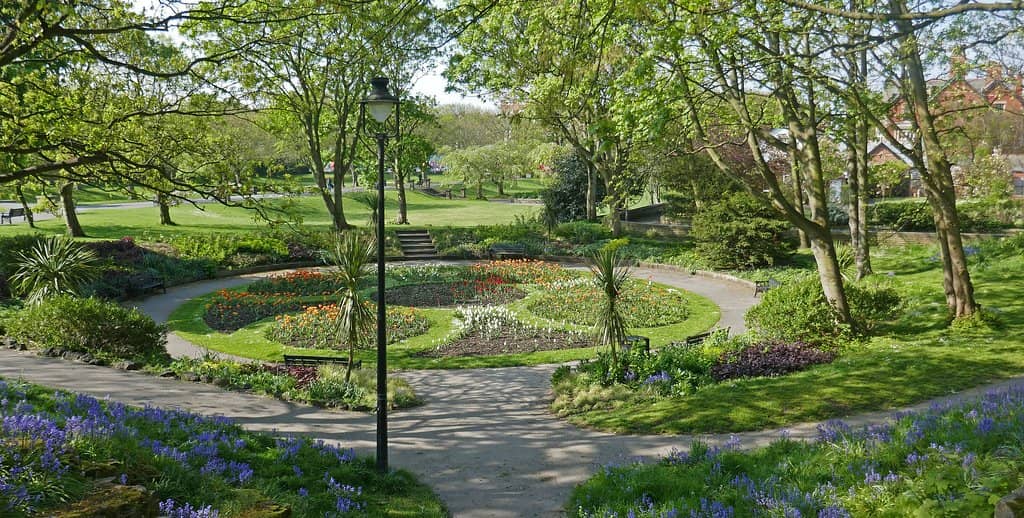 Tranquil Pond & Duck Feeding